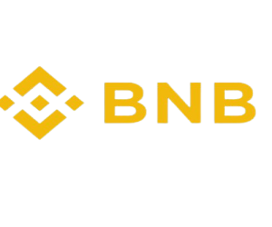 BINANCE or USDT BEP20 NETWORK